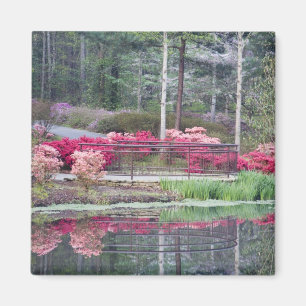 USA, Georgia, Pine Mountain. Aussichtsbereich bei Magnet