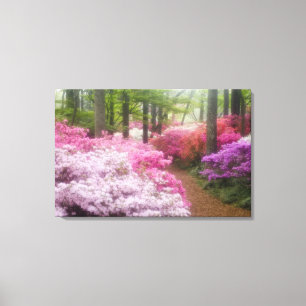 USA; Georgia; Pine Mountain. Azaleen bei Leinwanddruck