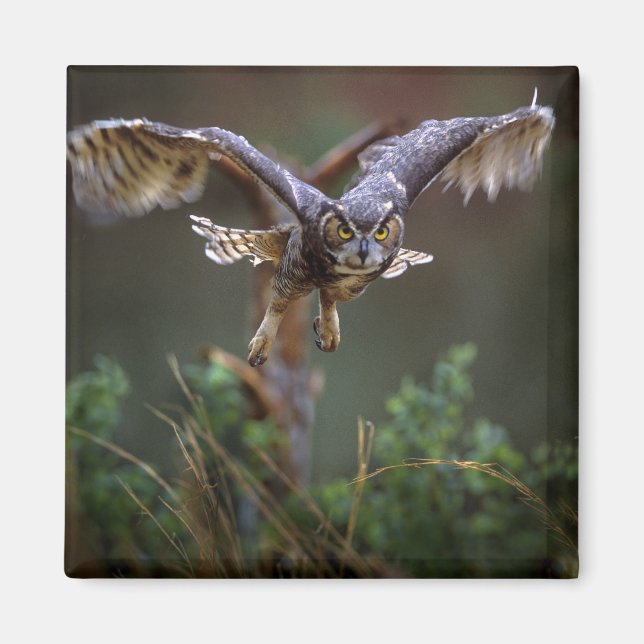 USA, Georgia, Pine Mountain, Callaway Gardens. Magnet (Vorne)