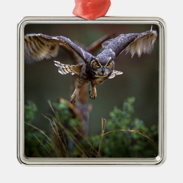 USA, Georgia, Pine Mountain, Callaway Gardens. Ornament Aus Metall (Vorne)