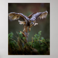 USA, Georgia, Pine Mountain, Callaway Gardens.