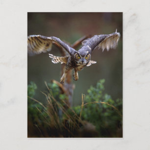 USA, Georgia, Pine Mountain, Callaway Gardens. Postkarte