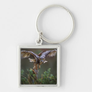 USA, Georgia, Pine Mountain, Callaway Gardens. Schlüsselanhänger