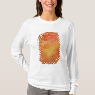 USA Georgia Savannah Buckeye Blume abstrakt T-Shirt