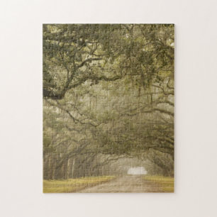 USA, Georgia, Savannah, Eine mit Eichen gesäumte A Puzzle