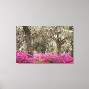 USA, Georgia, Savannah, Frühling bei Historic Leinwanddruck