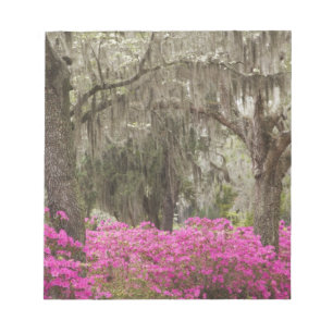 USA, Georgia, Savannah, Frühling bei Historic Notizblock