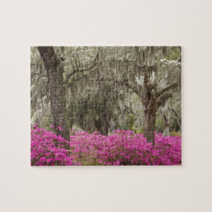 USA, Georgia, Savannah, Frühling bei Historic Puzzle