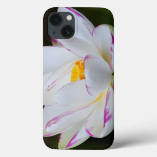 USA, Georgia, Savannah, Lootus Flower Blooming Case-Mate iPhone Hülle