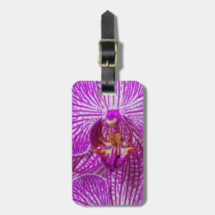 USA, Georgia, Savannah, Nahaufnahme einer Orchidee Gepäckanhänger