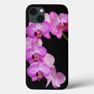 USA, Georgia, Savannah, Orchideen-Cluster 2 Case-Mate iPhone Hülle
