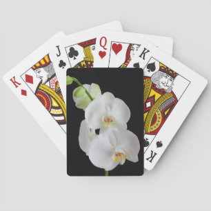 USA, Georgia, Savannah, Orchideen-Cluster Spielkarten