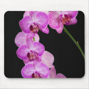 USA, Georgia, Savannah, Orchideencluster 2 Mousepad