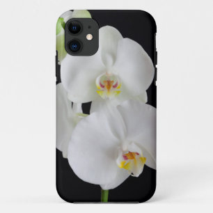 USA, Georgia, Savannah, Orchideencluster iPhone 11 Hülle