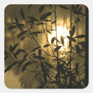 USA, Georgien, Callaway Gardens, Sunrise Quadratischer Aufkleber