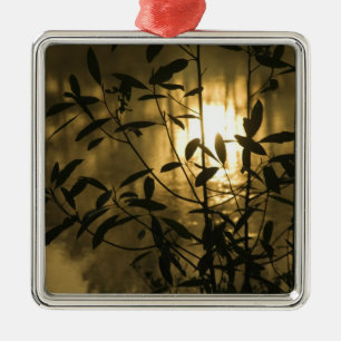 USA, Georgien, Callaway Gardens, Sunrise Silbernes Ornament
