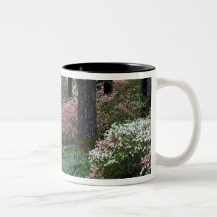 USA, Georgien, Callaway Gardens. Weg Zweifarbige Tasse
