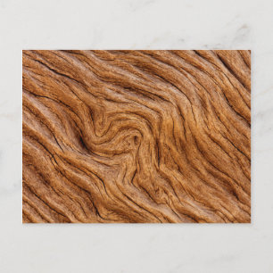 USA, Georgien, Jekyll Island, Abstrakt Postkarte