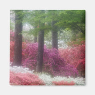  USA; Georgien; Kiefernberg Azaleen Magnet