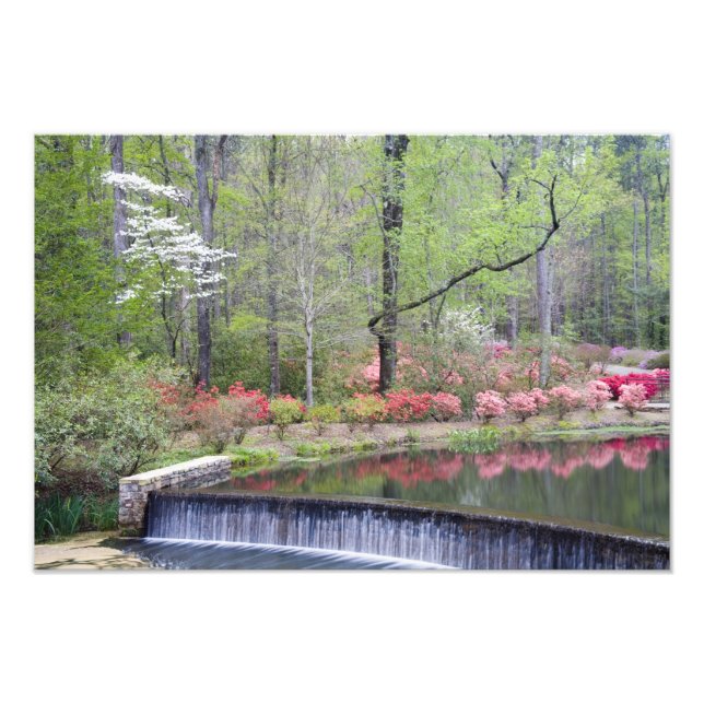 USA, Georgien, Pine Mountain. Ein kleiner Wasserfa Fotodruck (Vorne)