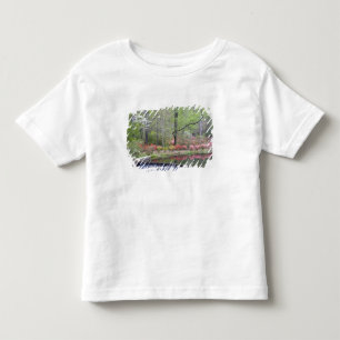 USA, Georgien, Pine Mountain. Ein kleiner Wasserfa Kleinkind T-shirt