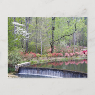 USA, Georgien, Pine Mountain. Ein kleiner Wasserfa Postkarte