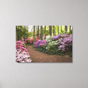 USA, Georgien, Pine Mountain. Ein Weg durch Leinwanddruck