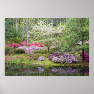 USA, Georgien, Pine Mountain. Eine Mischung Poster