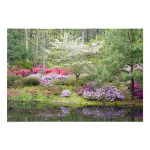 USA, Georgien, Pine Mountain. Gemisch aus Fotodruck