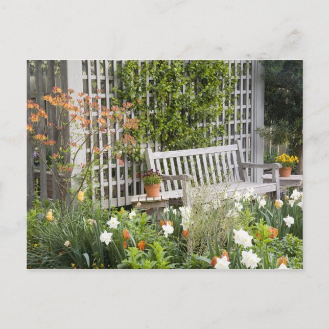 USA, Georgien, Pine Mountain. Vorsitz im Postkarte (Vorderseite)