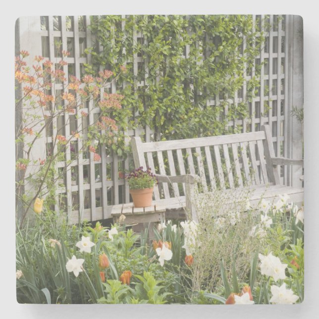 USA, Georgien, Pine Mountain. Vorsitz im Steinuntersetzer (Vorderseite)