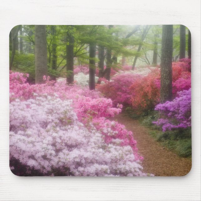  USA; Georgien; Piniengebirge. Azaleen Mousepad (Vorne)