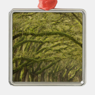  USA; Georgien; Savannah. Eichenbäume mit Ornament Aus Metall