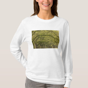 USA; Georgien; Savannah. Eichenbäume mit T-Shirt
