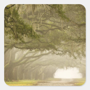 USA, Georgien, Savannah, Ein eiserner Fahrtweg in Quadratischer Aufkleber