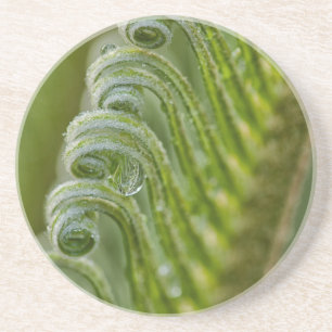 USA, Georgien, Savannah, Nahe Einrichtung neuer Gr Untersetzer