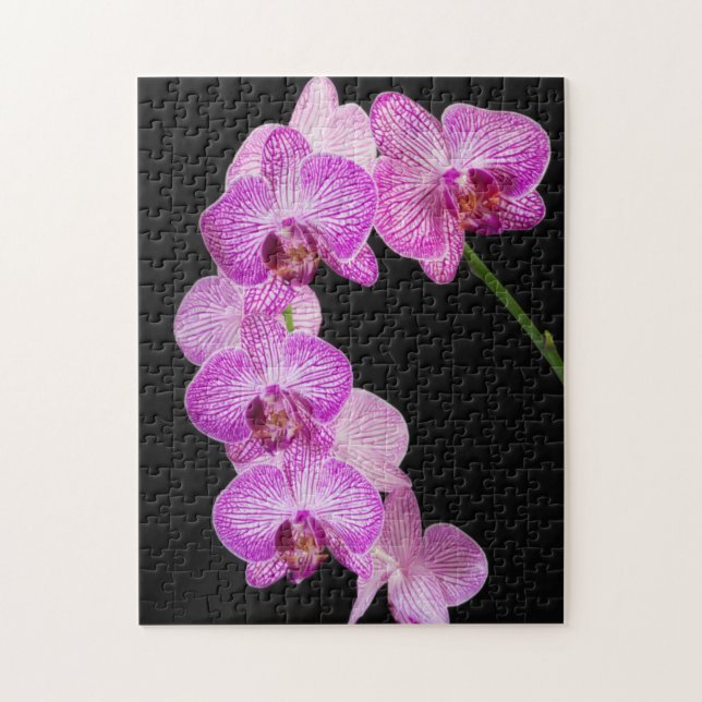 USA, Georgien, Savannah, Orchids-Cluster 2 Puzzle (Vertikal)