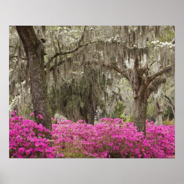 USA, Georgien, Savannah, Spring at Historic Poster (Vorne)