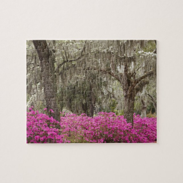 USA, Georgien, Savannah, Spring at Historic Puzzle (Horizontal)
