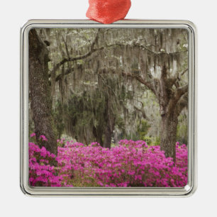USA, Georgien, Savannah, Spring at Historic Silbernes Ornament