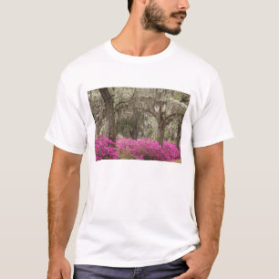 USA, Georgien, Savannah, Spring at Historic T-Shirt