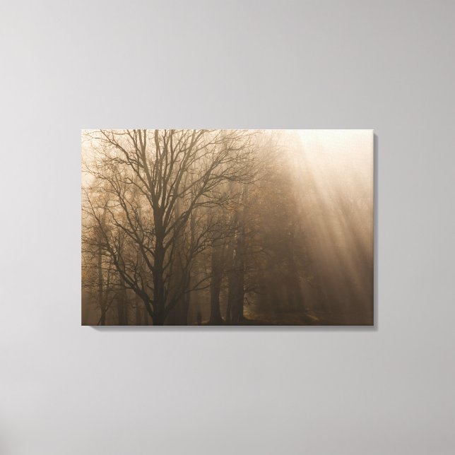 USA Great Smoky Mountain NP Tennessee Bäume in Leinwanddruck (Vorderseite)