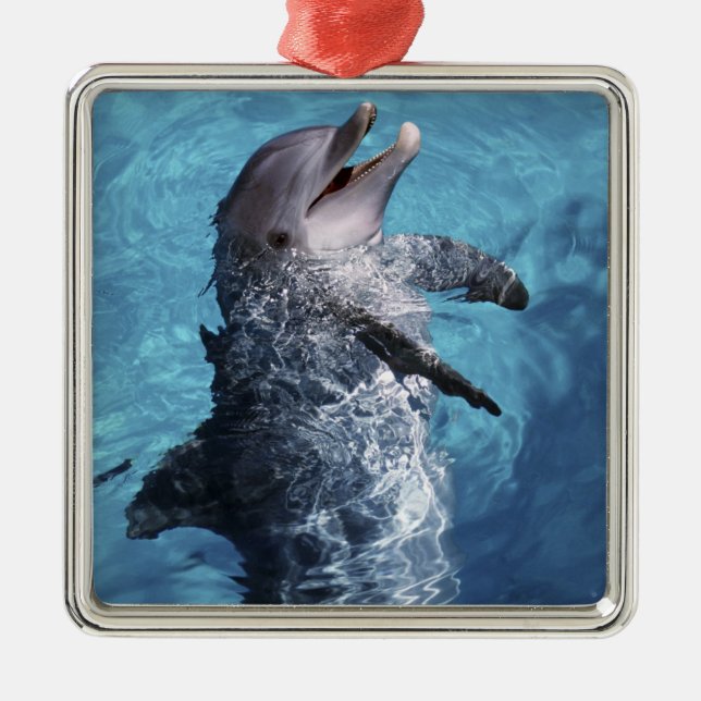 USA, Hawaii. Delfin Ornament Aus Metall (Vorne)