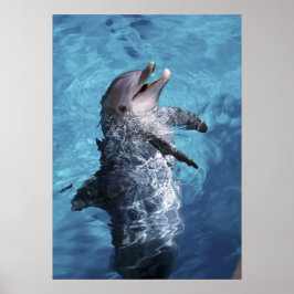 USA, Hawaii. Delfin Poster