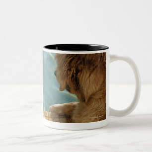 USA, Hawaii, Honolulu Zweifarbige Tasse