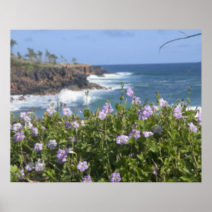 USA, Hawaii, Kauai, bei Kapaa, Nordwesten Poster