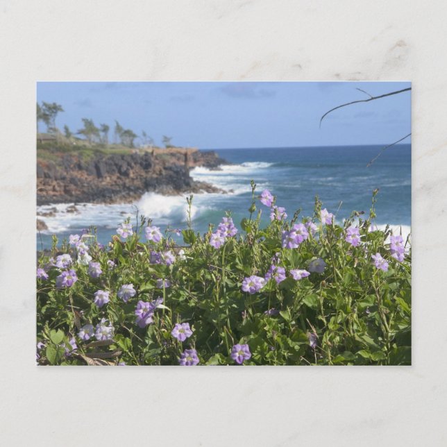 USA, Hawaii, Kauai, bei Kapaa, Nordwesten Postkarte (Vorderseite)