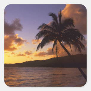 USA, Hawaii, Kauai, Farbiger Sonnenaufgang in eine Quadratischer Aufkleber
