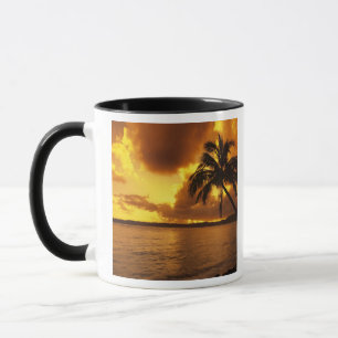 USA, Hawaii, Kauai, Farbiger Sonnenaufgang in eine Tasse