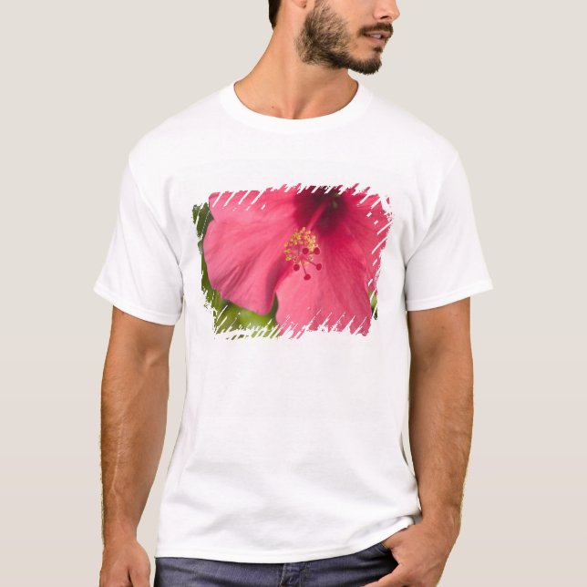 USA, Hawaii, Kauai, Hibiskus T-Shirt (Vorderseite)
